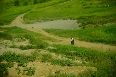 DSC_7698 (Large).JPG